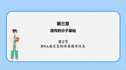 第三章 第三節(jié)  DNA通過(guò)復(fù)制傳遞遺傳信息（課件）-高一生物課件（浙科版2019必修2）
