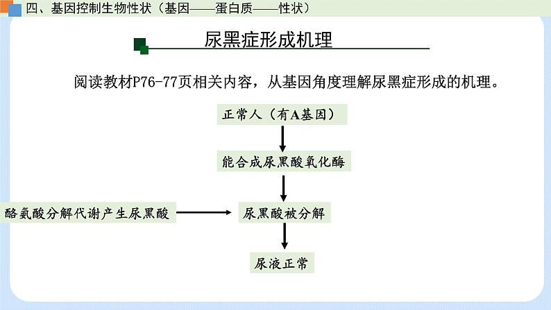 第三章 第四节 基因控制蛋白质合成(第3课时)(课件)-高一生物课件(浙科版2019必修2)07