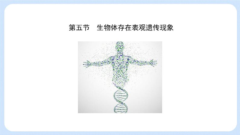 第三章 第五节 生物体存在表观遗传现象(课件)-高一生物课件(浙科版2019必修2)03