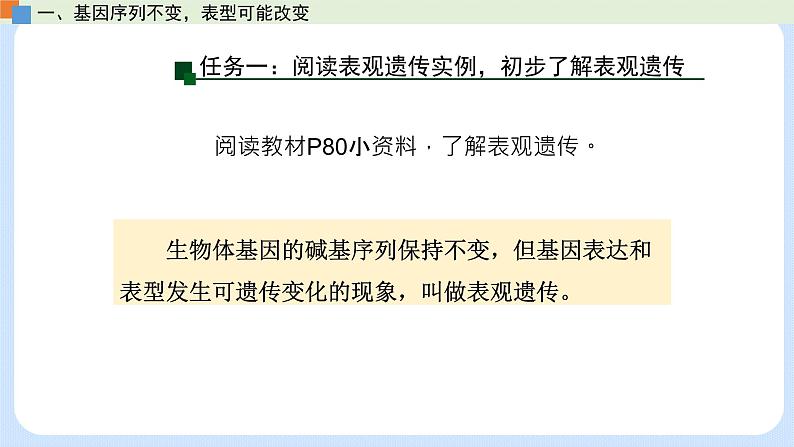 第三章 第五节 生物体存在表观遗传现象(课件)-高一生物课件(浙科版2019必修2)06