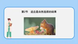 第五章 第二節(jié) 適應(yīng)是自然選擇的結(jié)果（課時(shí)2）-高一生物課件（浙科版2019必修2）
