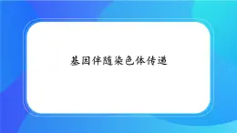 浙科版高中生物必修二：基因伴随染色体传递课件+学案+教案