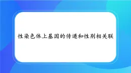 浙科版高中生物必修二：性染色体上的基因的传递和性别相关联课件+学案+教案