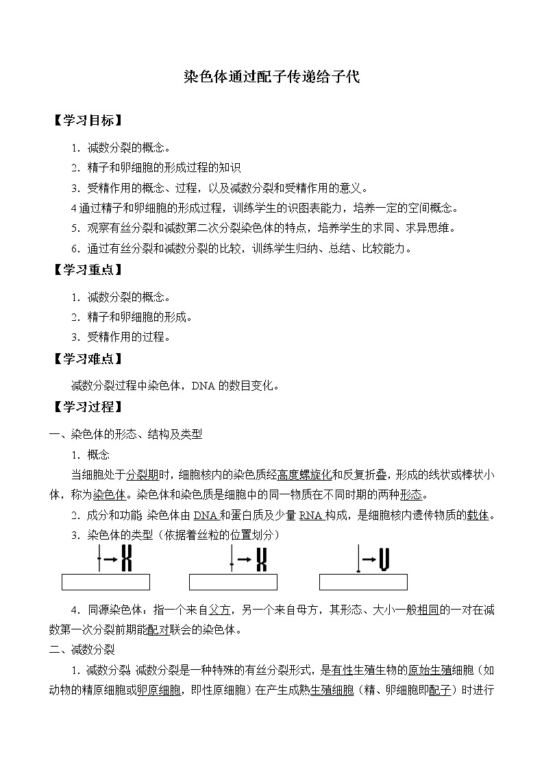 浙科版高中生物必修二:染色体通过配子传递给后代课件+学案+教案01