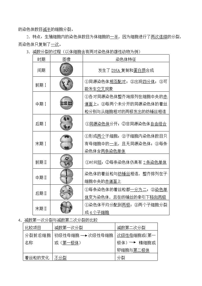 浙科版高中生物必修二:染色体通过配子传递给后代课件+学案+教案02