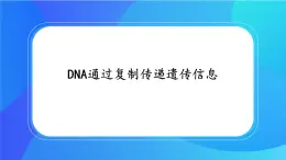 浙科版高中生物必修二：DNA通过复制传递遗传信息课件+学案+教案