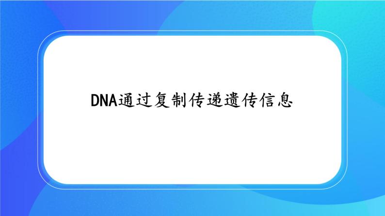 浙科版高中生物必修二：DNA通过复制传递遗传信息课件+学案+教案01