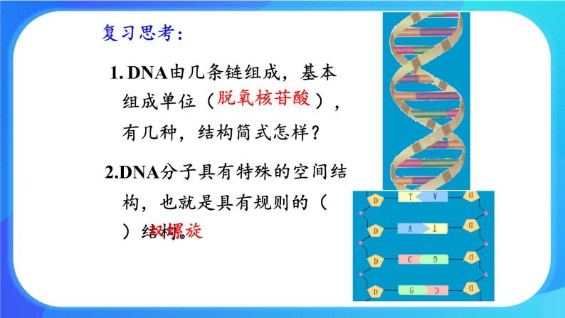 浙科版高中生物必修二：DNA通过复制传递遗传信息课件+学案+教案02