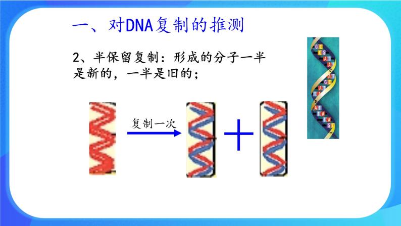 浙科版高中生物必修二：DNA通过复制传递遗传信息课件+学案+教案05