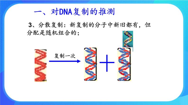 浙科版高中生物必修二：DNA通过复制传递遗传信息课件+学案+教案06