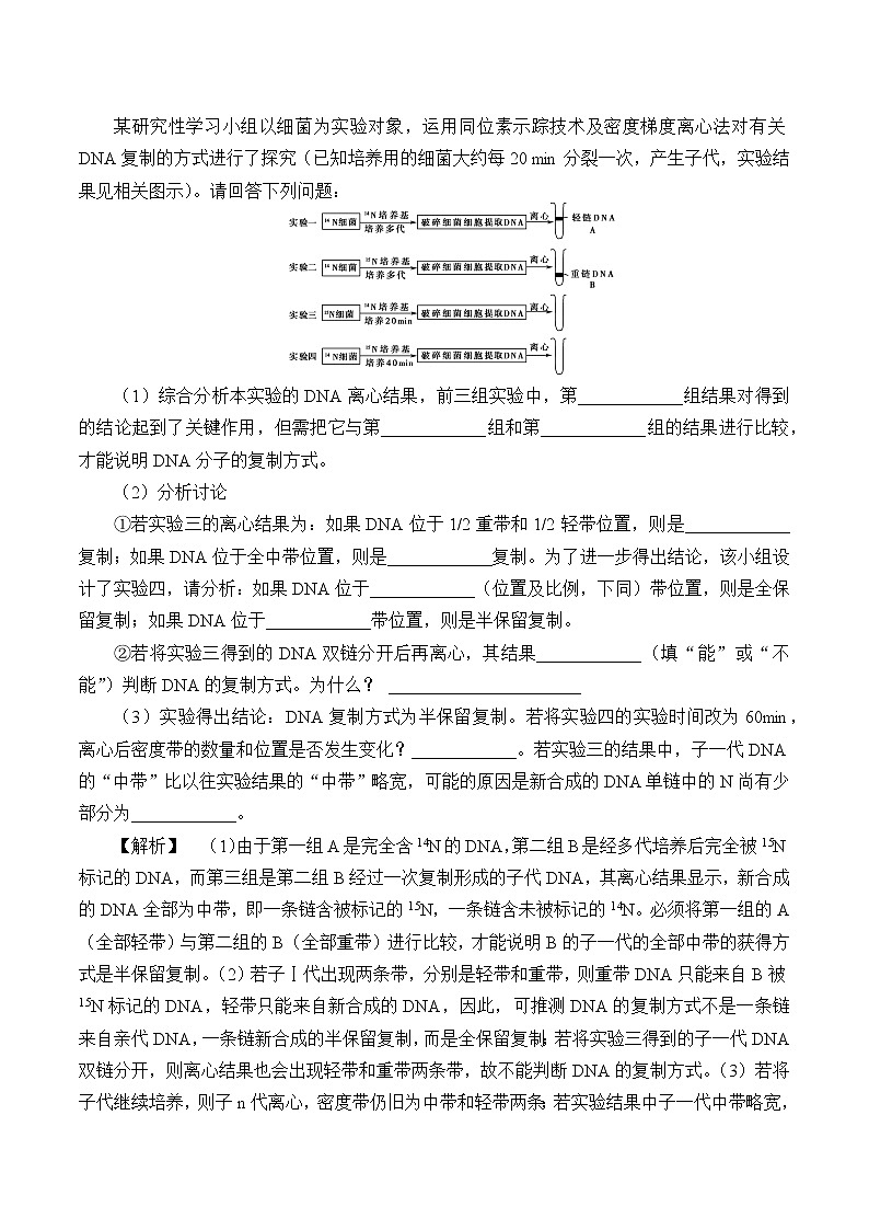(学案)DNA通过复制传递遗传信息第3页