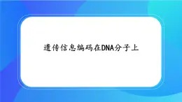 浙科版高中生物必修二：遗传信息编码在DNA分子上课件+学案+教案