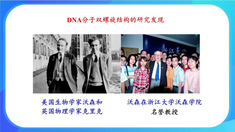 浙科版高中生物必修二：遗传信息编码在DNA分子上课件+学案+教案08