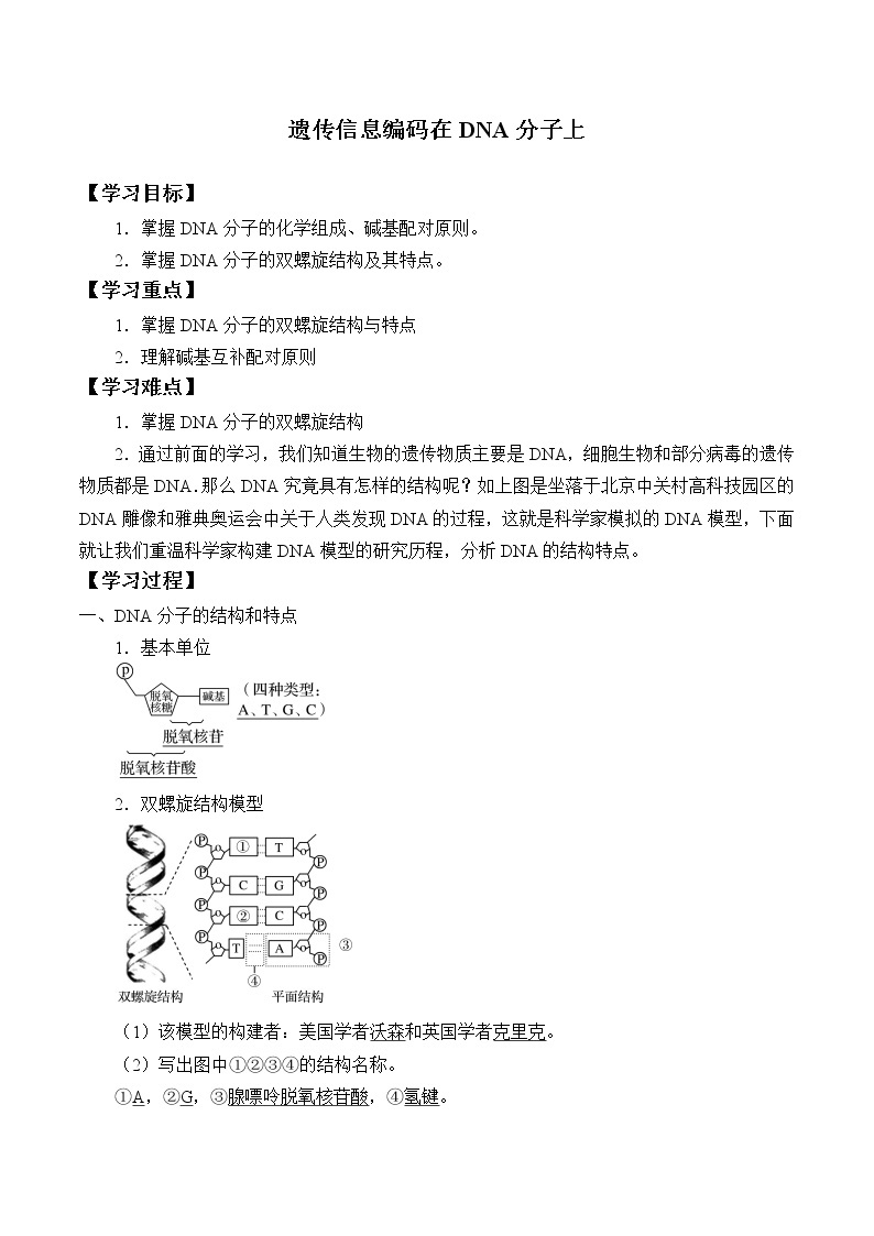 浙科版高中生物必修二：遗传信息编码在DNA分子上课件+学案+教案01