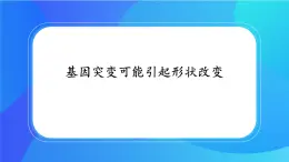 浙科版高中生物必修二：基因突变可能引起性状改变课件+学案+教案