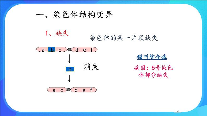 (课件)染色体畸变可能引起性状改变.ppt第6页