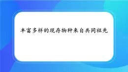 浙科版高中生物必修二：丰富多样的物种来自共同祖先课件+学案+教案