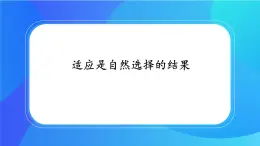 浙科版高中生物必修二：适应是自然选择的结果课件+学案+教案