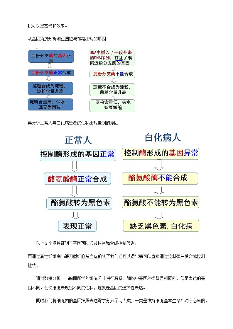 高中生物第二册 4 2 基因表达与性状的关系 教学设计-遗传与进化02