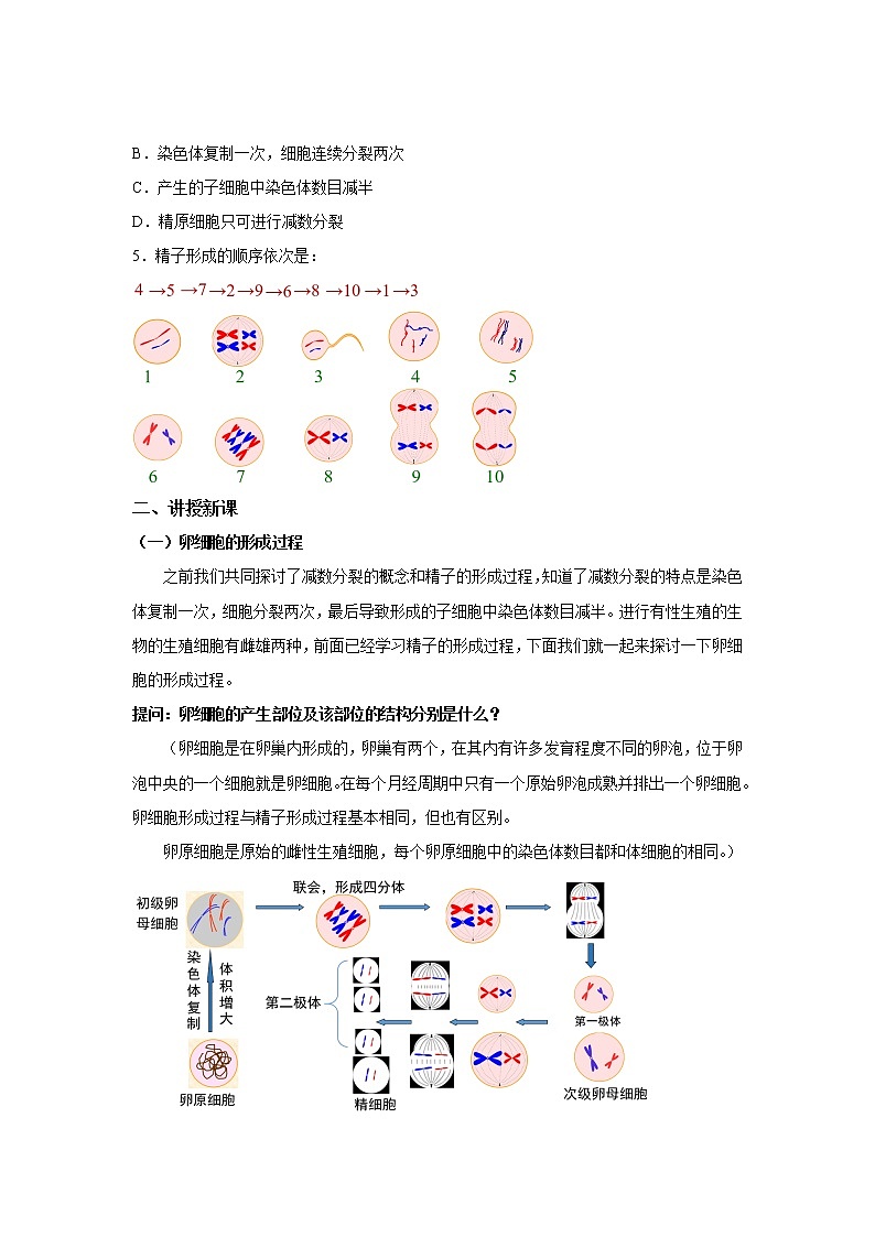 高中生物第二册 (教学方案)第1节 减数分裂和受精作用 第2课时 示范教案02