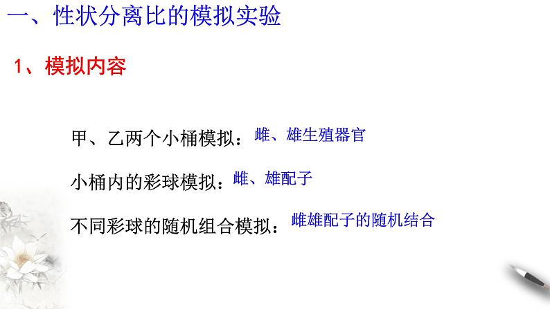 高中生物第二册 1 1 2 孟德尔的豌豆杂交实验(一) 课件-遗传与进化第2页