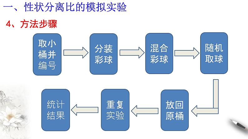 高中生物第二册 1 1 2 孟德尔的豌豆杂交实验(一) 课件-遗传与进化第5页