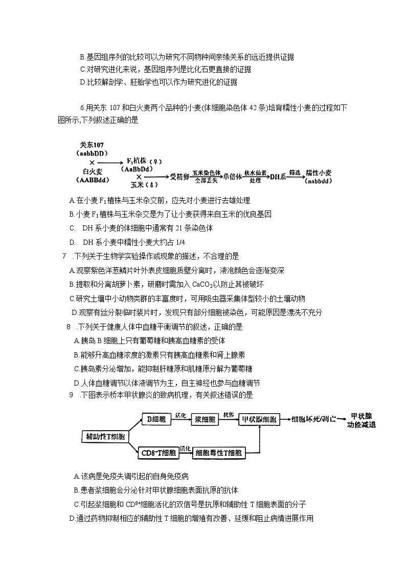 江苏省苏北四市2023届高三生物上学期第一次调研测试(一模)试卷(Word版附答案)第2页