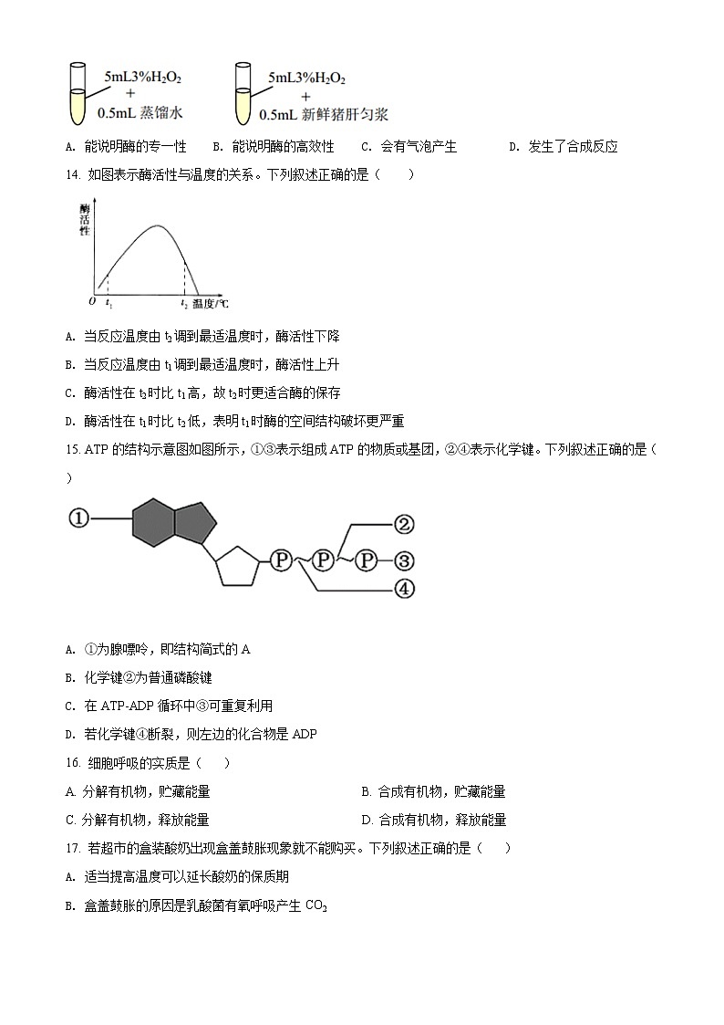高中生物第一册 精品解析北京市石景山2020-2021期末生物试题(无答案)第3页