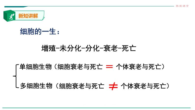 高中生物第一册 6 3细胞的衰老和死亡 课件04