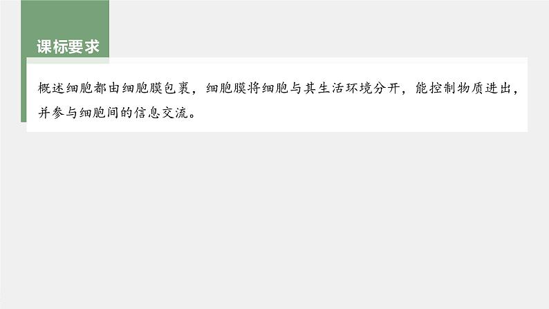 新人教新高考生物一轮复习课件 第2单元 第1课时 细胞膜的结构和功能04