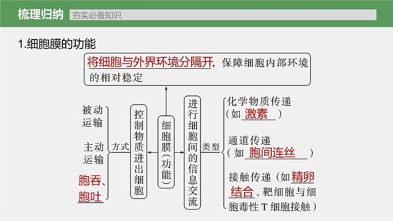 新人教新高考生物一轮复习课件 第2单元 第1课时 细胞膜的结构和功能05