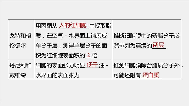 新人教新高考生物一轮复习课件 第2单元 第1课时 细胞膜的结构和功能07