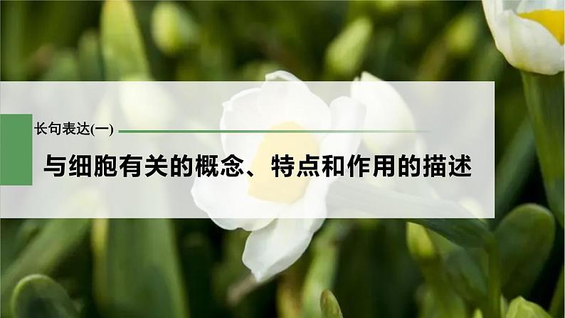 新人教新高考生物一轮复习课件 第2单元 长句表达(一) 与细胞有关的概念、特点和作用的描述第3页