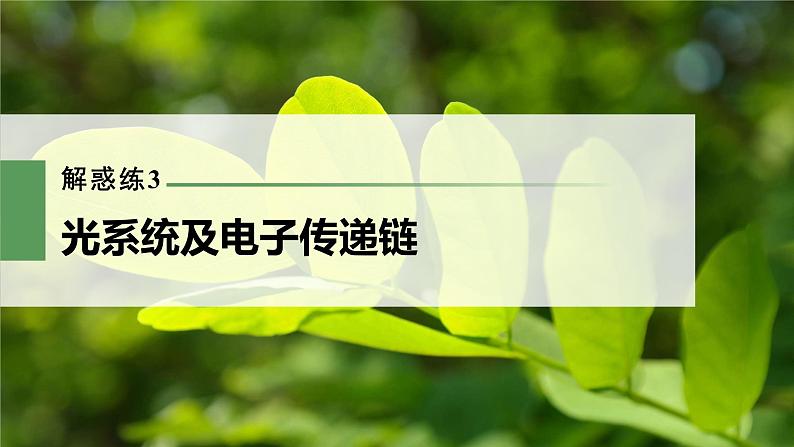 新人教新高考生物一轮复习课件 第3单元 解惑练3 光系统及电子传递链第3页