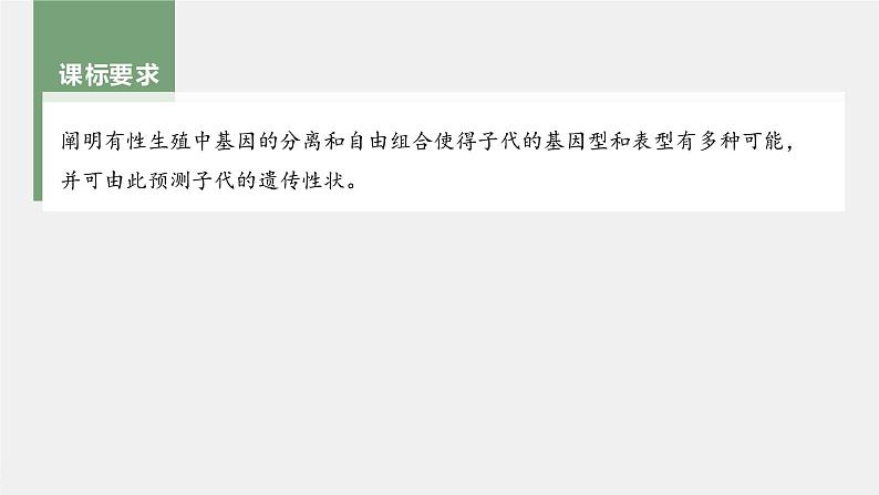 新人教新高考生物一轮复习课件 第5单元 第1课时 分离定律的发现第4页