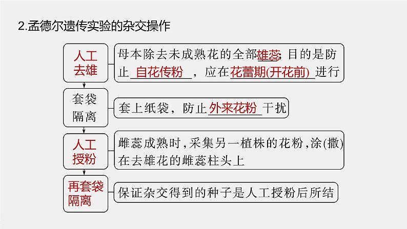 新人教新高考生物一轮复习课件 第5单元 第1课时 分离定律的发现第7页