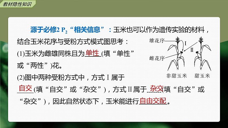 新人教新高考生物一轮复习课件 第5单元 第1课时 分离定律的发现第8页