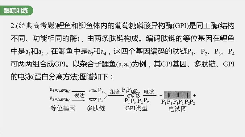 新人教新高考生物一轮复习课件 第5单元 微专题四 分离定律在特殊情况下的应用第8页