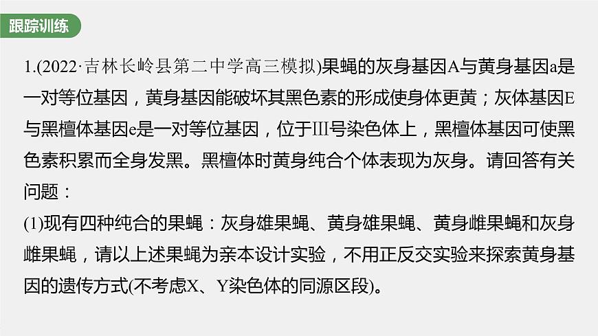 新人教新高考生物一輪復(fù)習(xí)課件  第5單元 微專(zhuān)題五　基因在染色體上的位置判斷第6頁(yè)