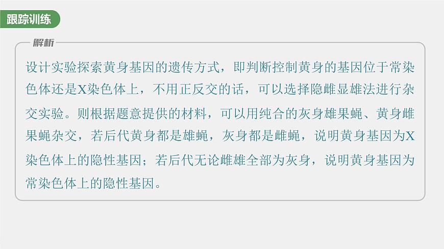 新人教新高考生物一輪復(fù)習(xí)課件  第5單元 微專(zhuān)題五　基因在染色體上的位置判斷第8頁(yè)