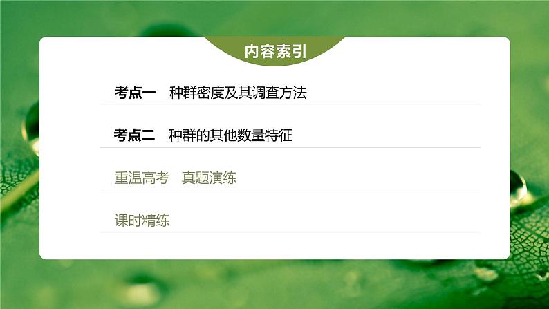 新人教新高考生物一轮复习课件 第9单元 第1课时 种群的数量特征05