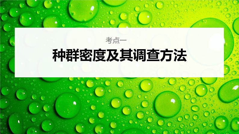 新人教新高考生物一轮复习课件 第9单元 第1课时 种群的数量特征06