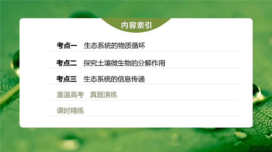 新人教新高考生物一輪復習課件  第9單元 第7課時　生態(tài)系統(tǒng)的物質循環(huán)、信息傳遞第5頁
