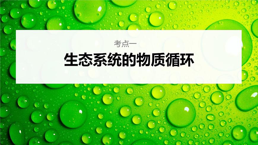 新人教新高考生物一輪復習課件  第9單元 第7課時　生態(tài)系統(tǒng)的物質循環(huán)、信息傳遞第6頁