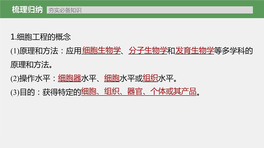 新人教新高考生物一輪復(fù)習(xí)課件 第10單元 第3課時(shí) 植物細(xì)胞工程第7頁