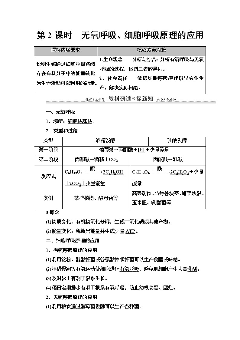 高中生物第一册 第5章 第3节 第2课时 无氧呼吸、细胞呼吸原理的应用 讲义01