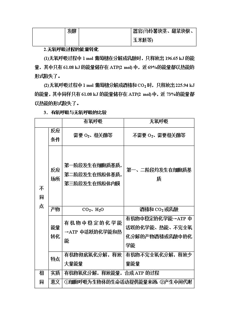 高中生物第一册 第5章 第3节 第2课时 无氧呼吸、细胞呼吸原理的应用 讲义03