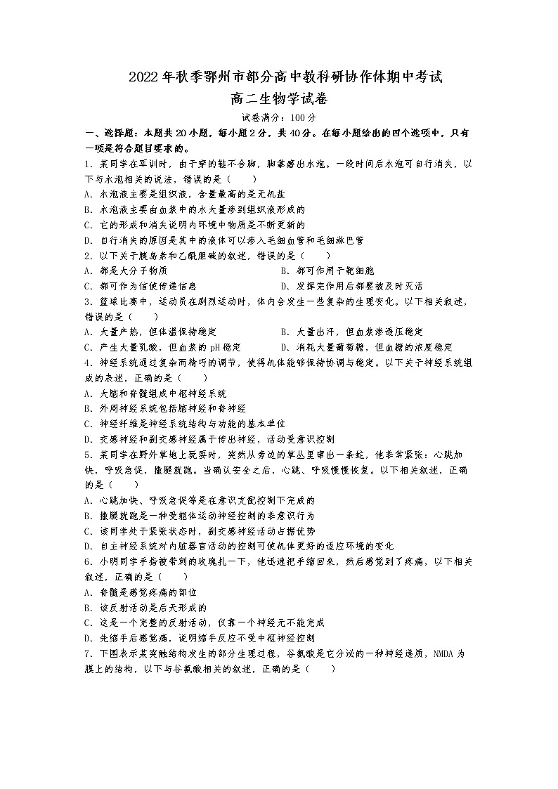 2022-2023学年湖北省鄂州市部分高中教科研协作体高二上学期期中考试生物试题含答案01