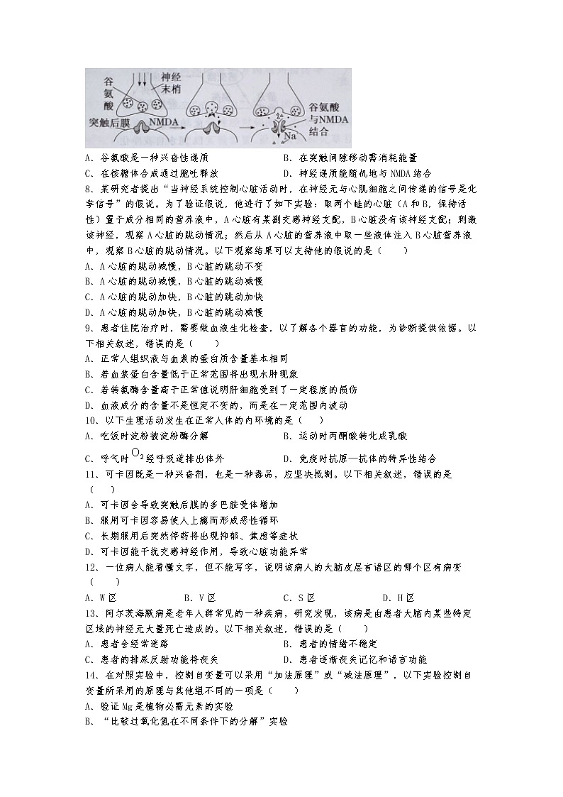 2022-2023学年湖北省鄂州市部分高中教科研协作体高二上学期期中考试生物试题含答案02