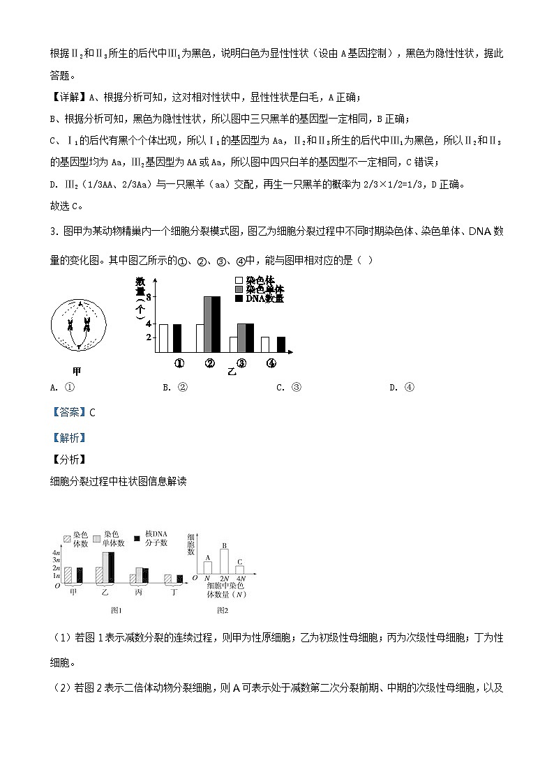 高中生物第二册 精品解析 辽宁省沈阳市郊联体2019-2020学年高一下学期期末生物试题(含答案)02